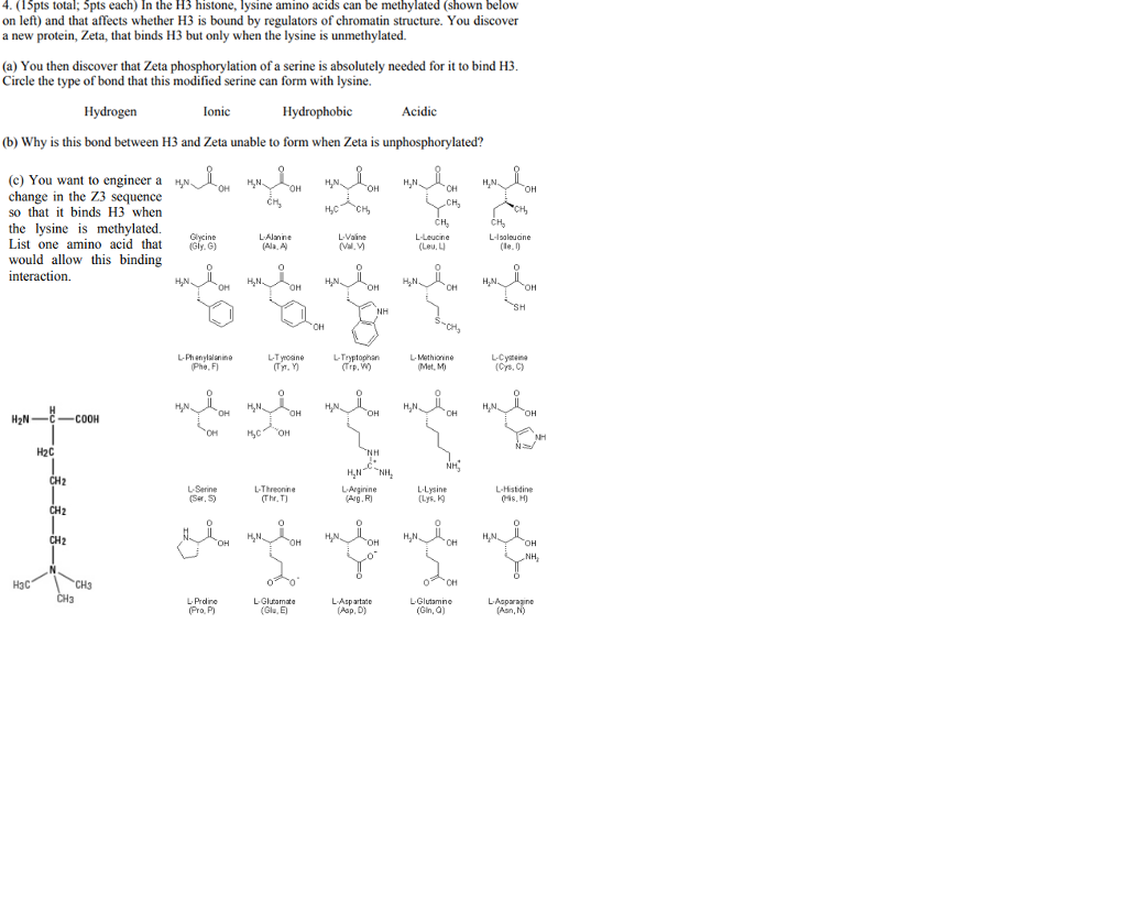 Solved 4. (1Spts total; pts each) In the H3 histone, lysine | Chegg.com