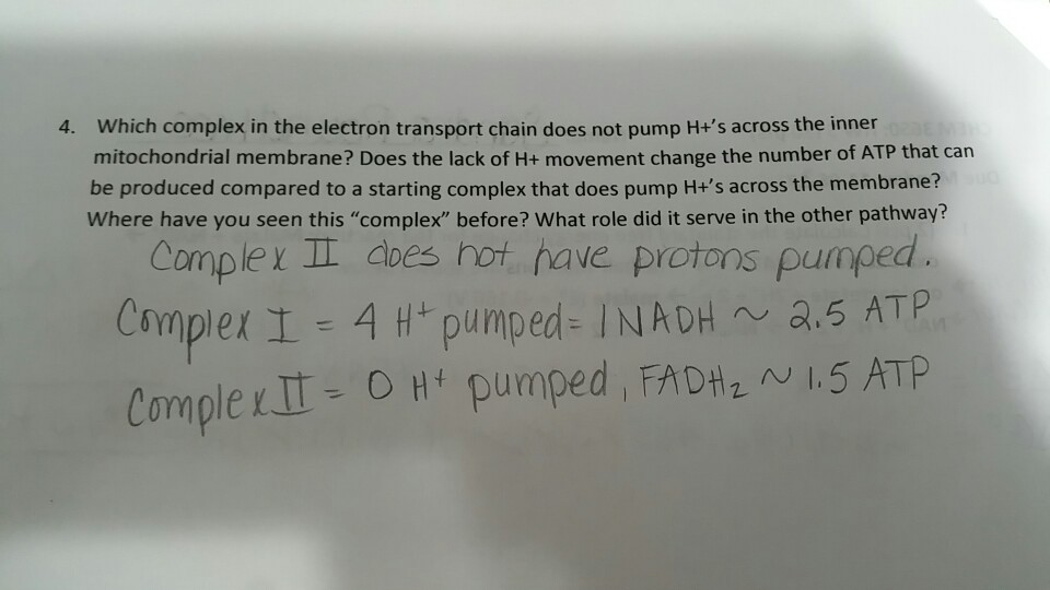 Solved 4. Which complex in the electron transport chain does | Chegg.com