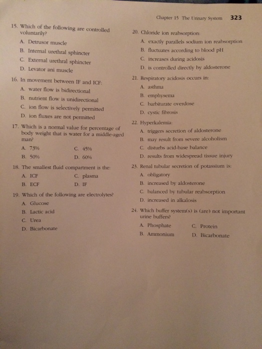 8-chapter-15-the-urinary-system-coloring-workbook-answer-key-graemekaleb