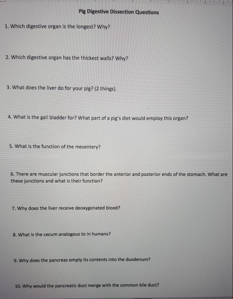Solved Pig Digestive Dissection Questions 1. Which digestive