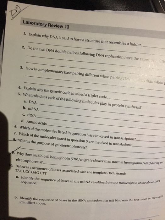 what-is-the-order-of-protein-synthesis-we-are-eaton