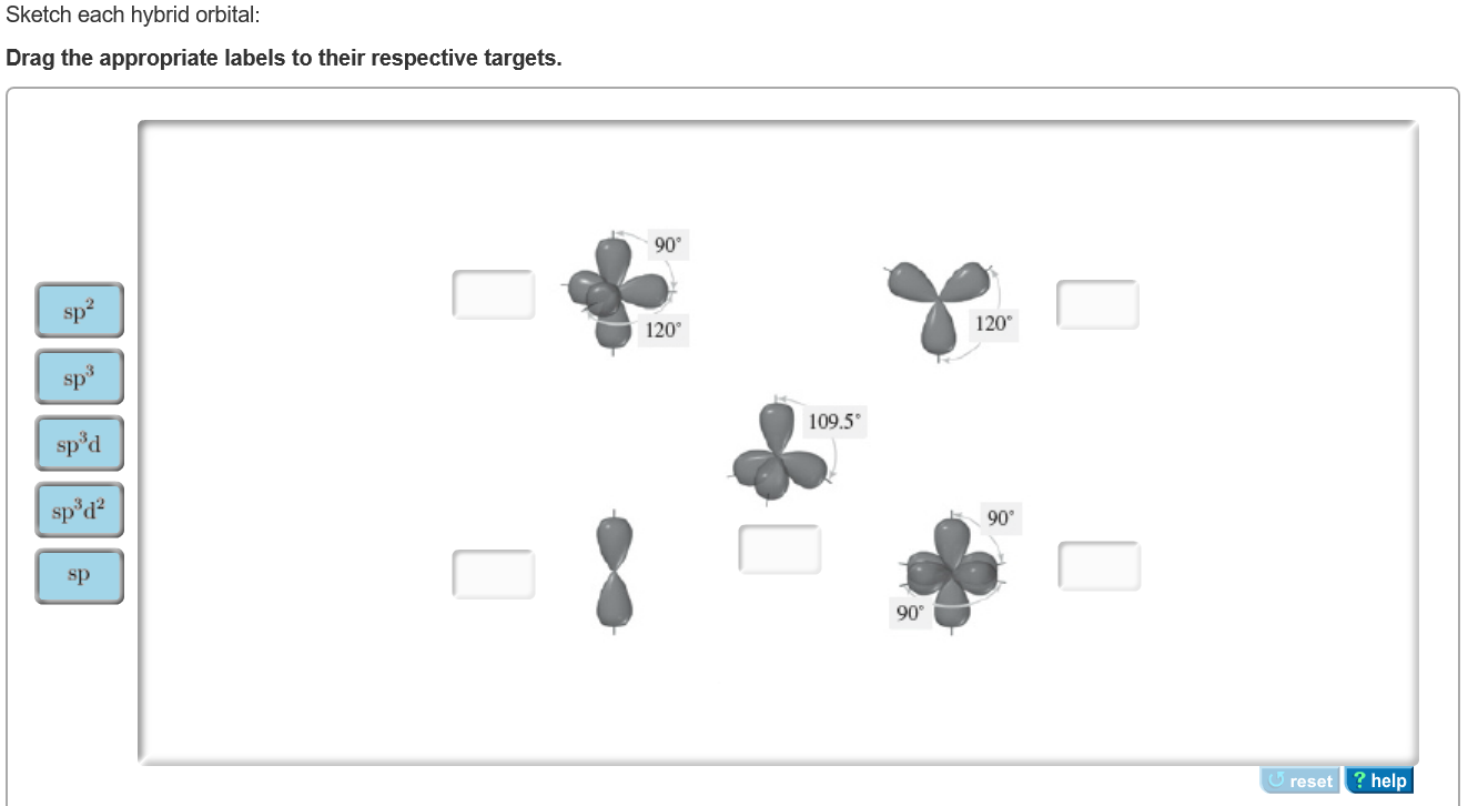 Solved Sketch each hybrid orbital: Drag the appropriate | Chegg.com