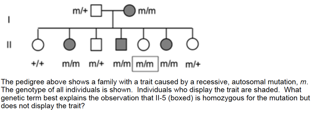 Solved The pedigree above shows a family with a trait caused | Chegg.com