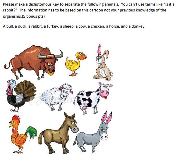 Solved Please make a dichotomous Key to separate the | Chegg.com