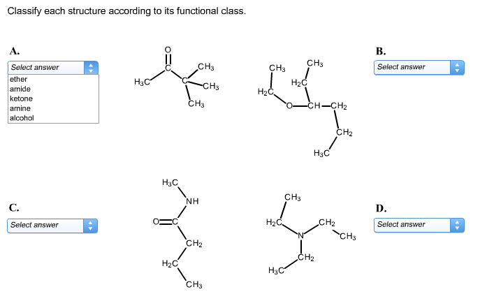 Class Each Structure According To Its Functional Chegg 