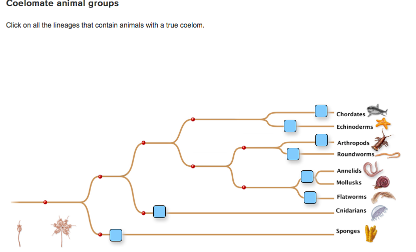 textual lineage textual lineage