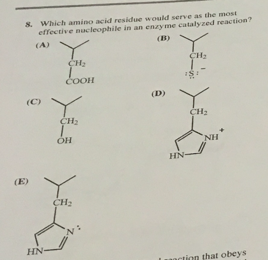 Solved Which amino acid residue would serve as the most