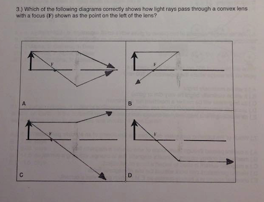 Solved Which of the following diagrams correctly shows how | Chegg.com