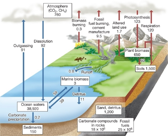 Solved Atmosphere (CO2, CHA) 760 BiomassFossil burning fuel | Chegg.com