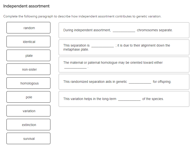 Independent Assortment And Genetic Variation