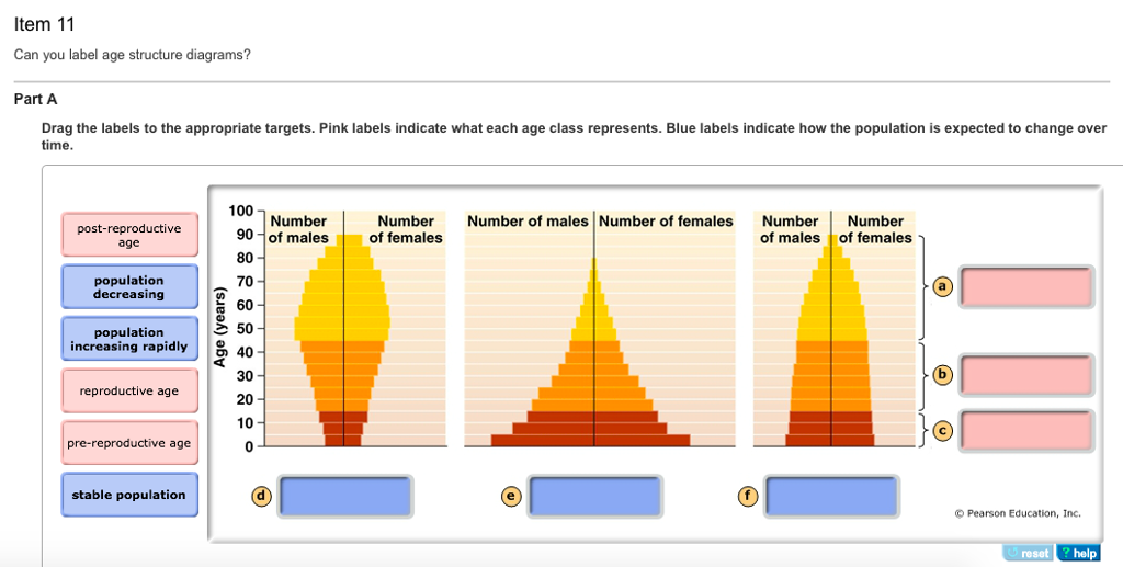 How To Read Age Structure Diagrams