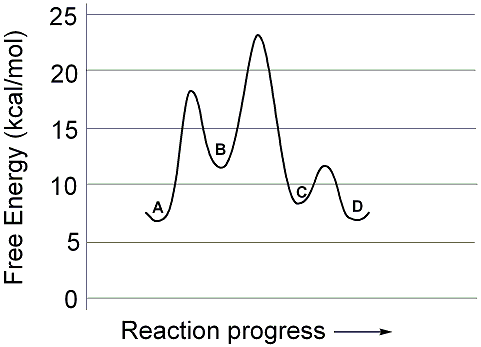 Solved Use the reaction energy diagram above to answer the | Chegg.com