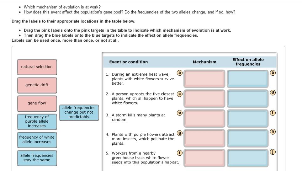 Match the labels on the diagram