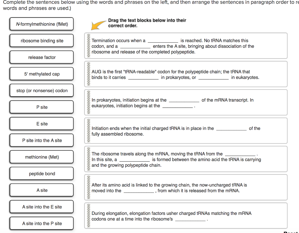 Solved Complete The Sentences Below Using The Words And Chegg