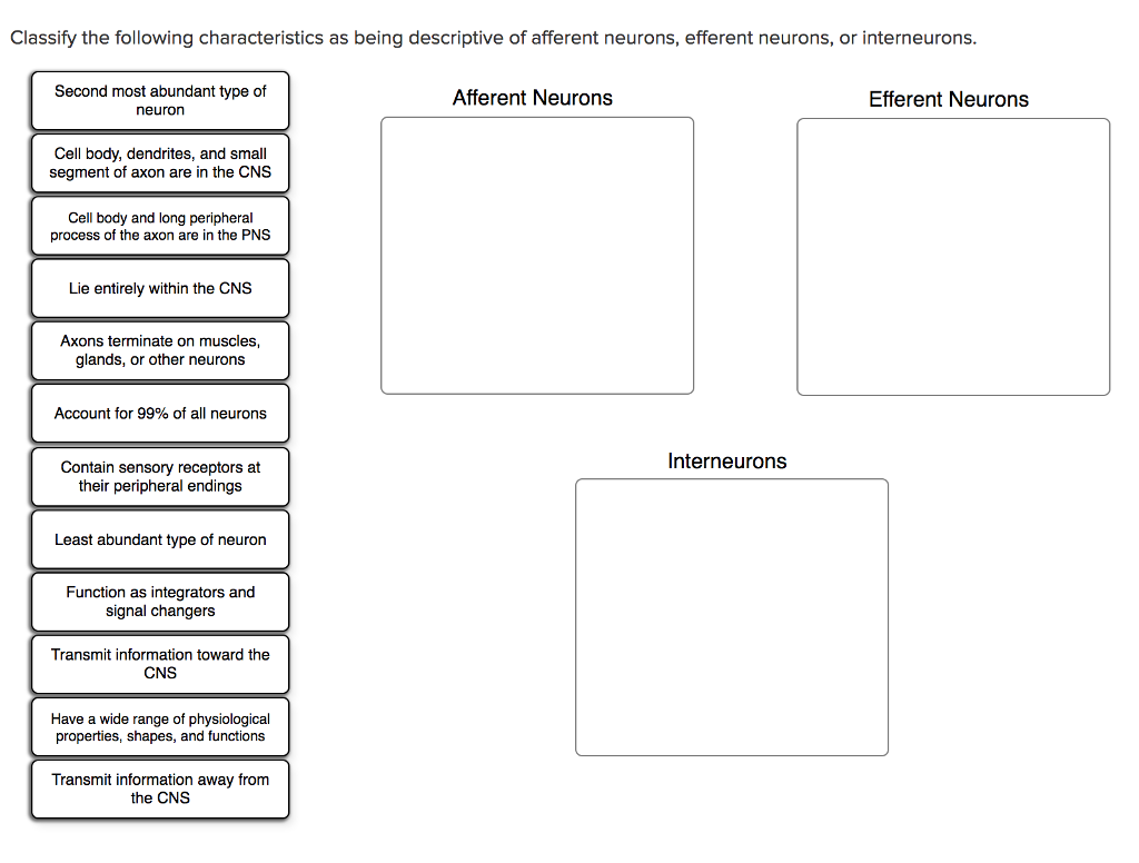 Solved Classify the following characteristics as being | Chegg.com