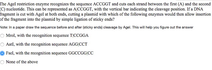 Solved The AgeI restriction enzyme recognizes the sequence | Chegg.com
