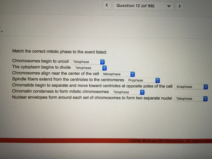 Solved Match the correct mitoitic phase to the event listed.