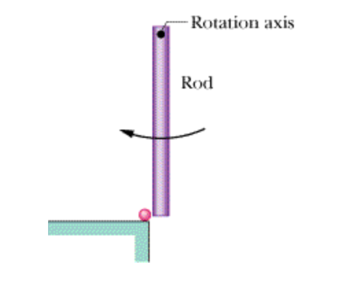 Solved The uniform rod (length 0.60 m, mass 1.1 kg) in the | Chegg.com