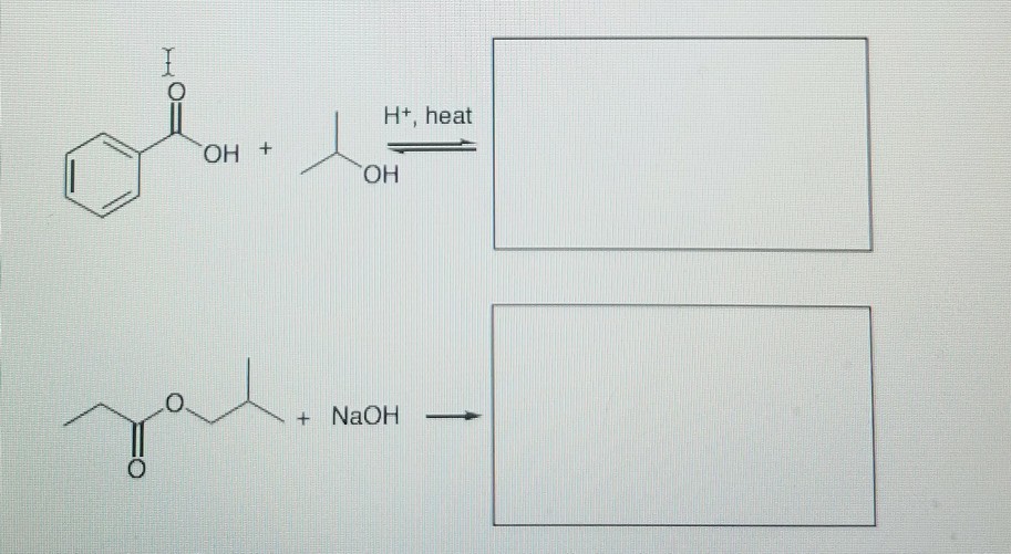 Solved H+, heat OH + OH | Chegg.com