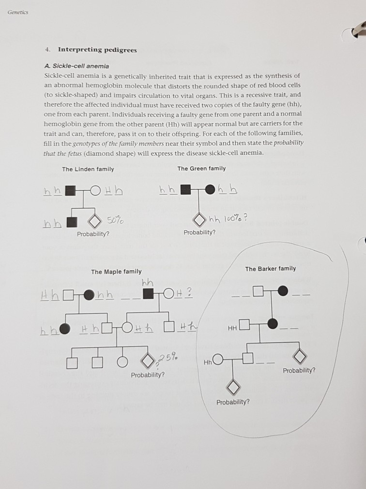 solved-genetics-4-interpreting-pedigrees-a-sickle-cell-chegg