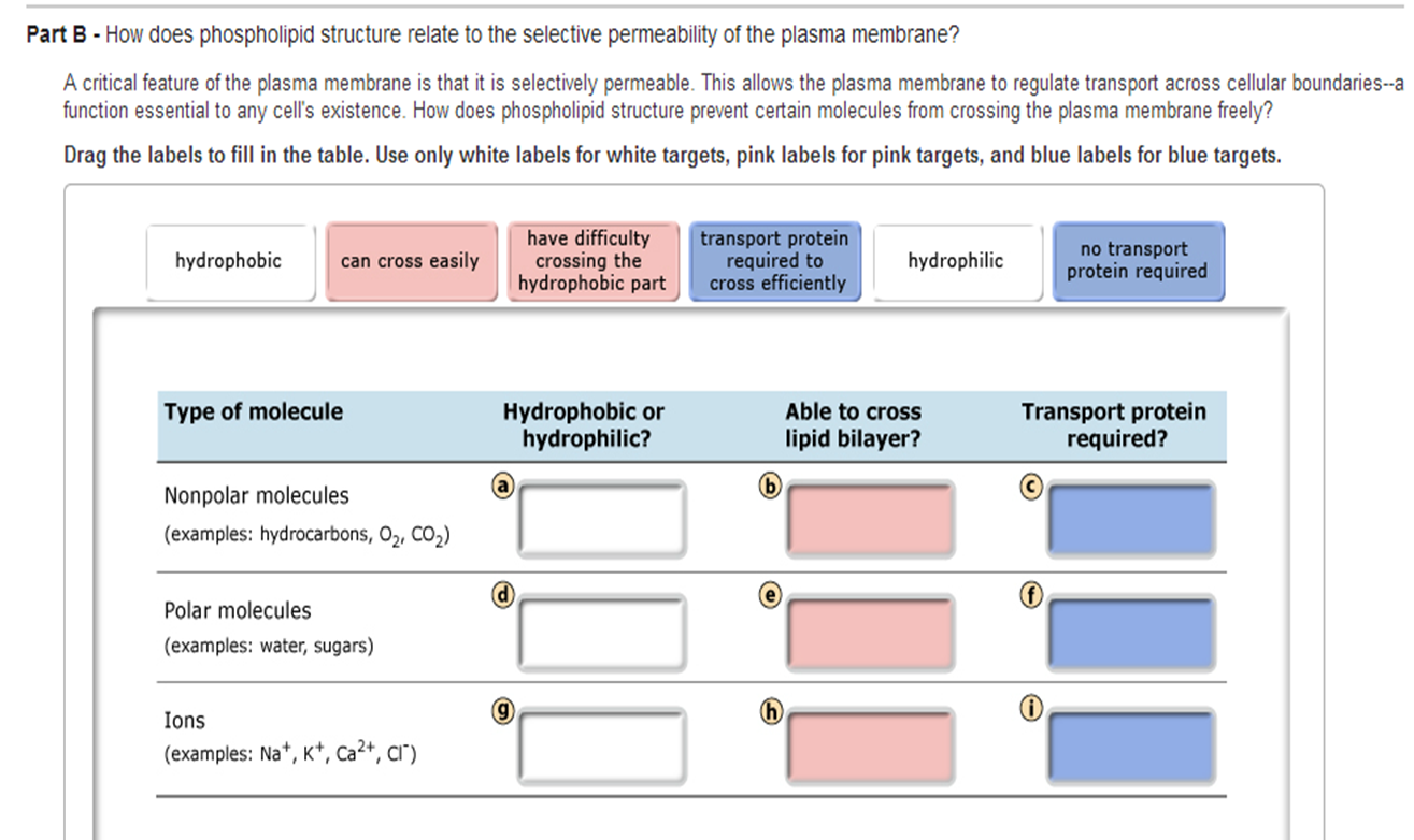 part d assigning genotypes for codominant alleles