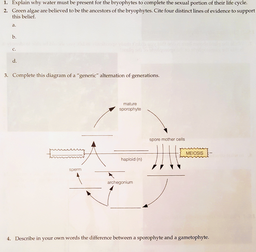 Solved 1. Explain why water must be present for the