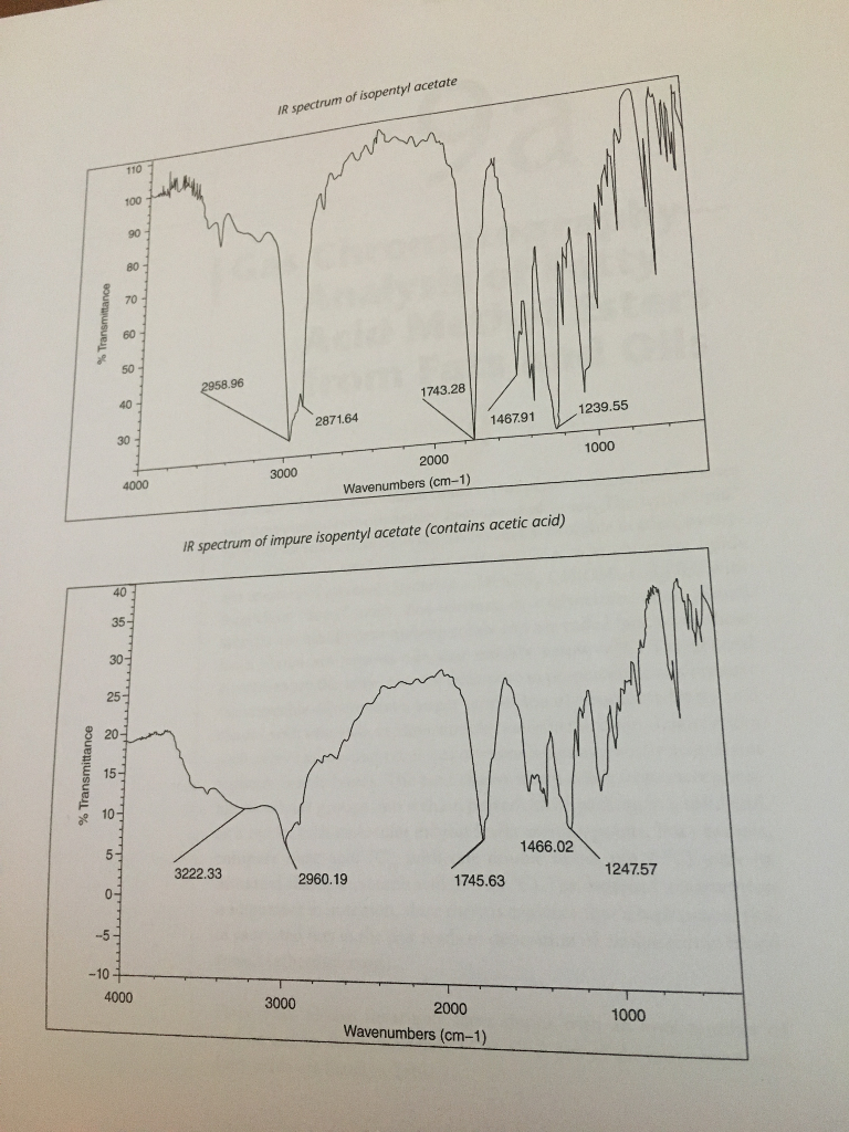 Solved IR spectrum of isopentyl acetate 110 100 70 1743.28 | Chegg.com