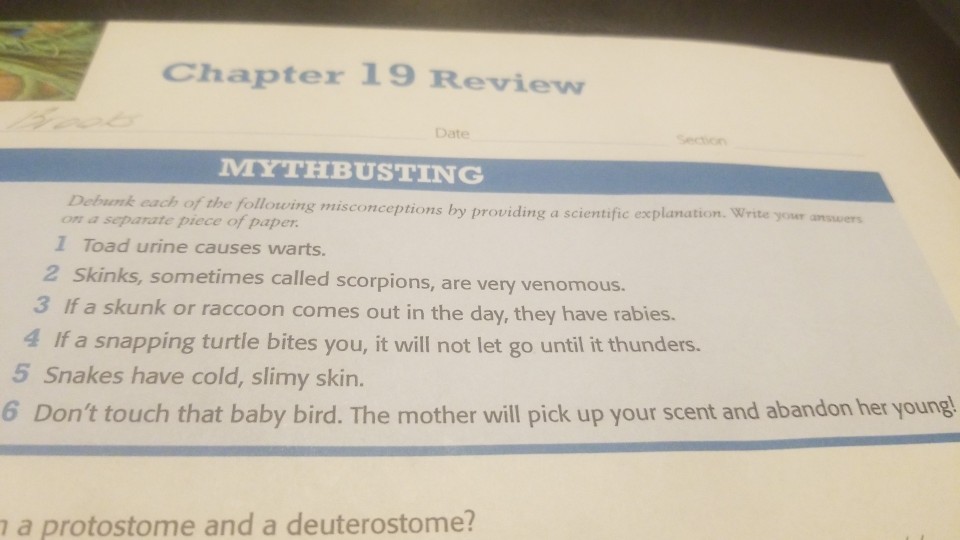 Solved Chapter 19 Review Date Seo MYTHBUSTING Debunk each of | Chegg.com