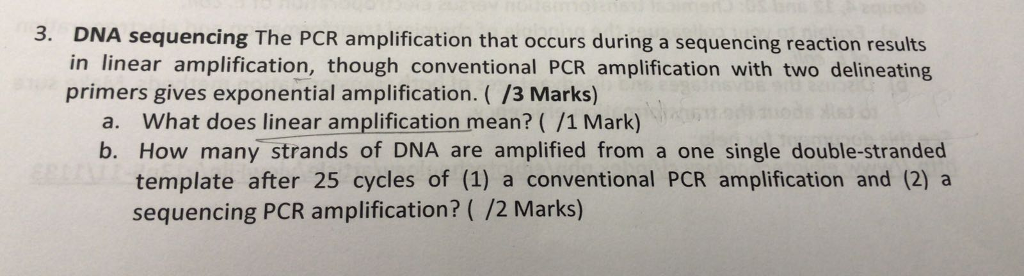 solved-3-dna-sequencing-the-pcr-amplification-that-occurs-chegg