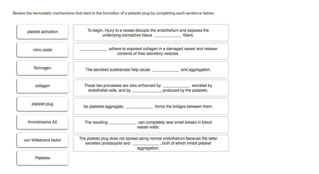 Solved Review the hemostatic mechanisms that lead to the