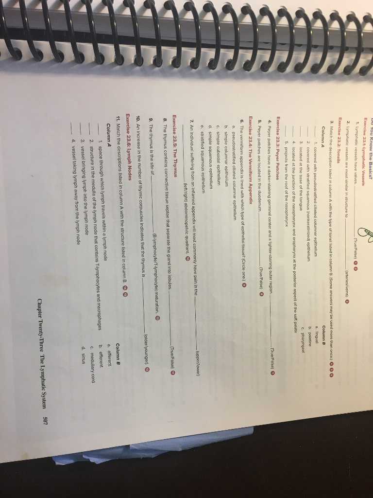 Exercise 23.1 phatic Vessols 1. Lymphatic vessels