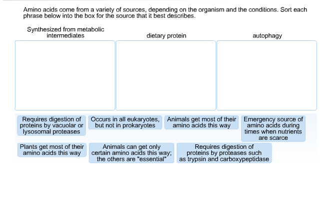 Solved Amino acids come from a variety of sources, depending | Chegg.com