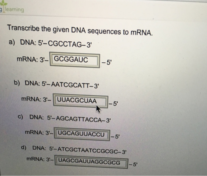 Solved Transcribe The Given DNA Sequences To MRNA Chegg Com