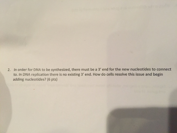 solved-in-order-for-dna-to-be-synthesized-there-must-be-a-chegg