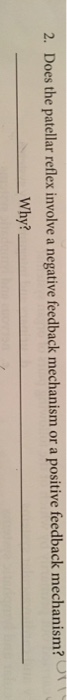 solved-does-the-patellar-reflex-involve-a-negative-feedback-chegg