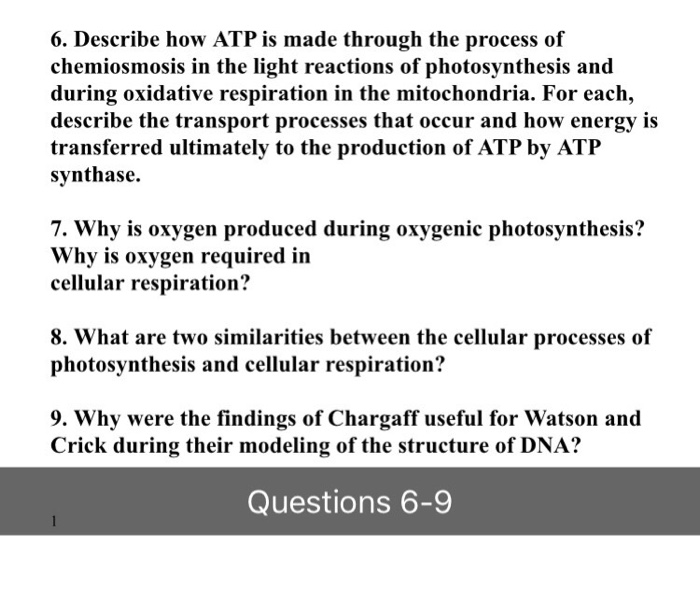 Solved Describe how ATP is made through the process of | Chegg.com