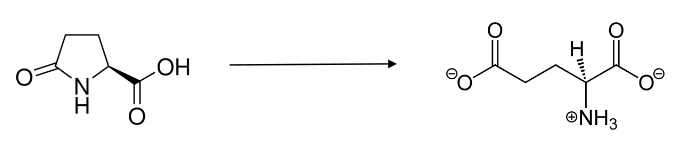 Solved Part A: Glutathione Is A Critical Intracellular 