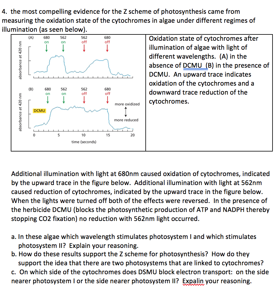 4-the-most-compelling-evidence-for-the-z-scheme-of-chegg