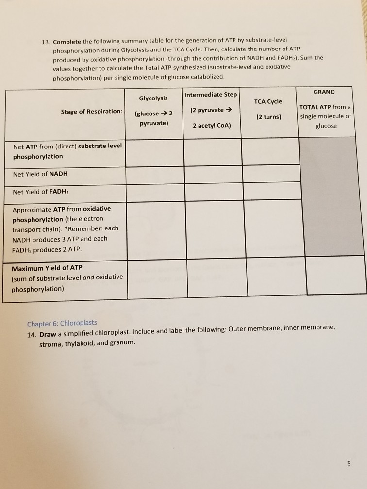 Solved 13. Complete the following summary table for the | Chegg.com