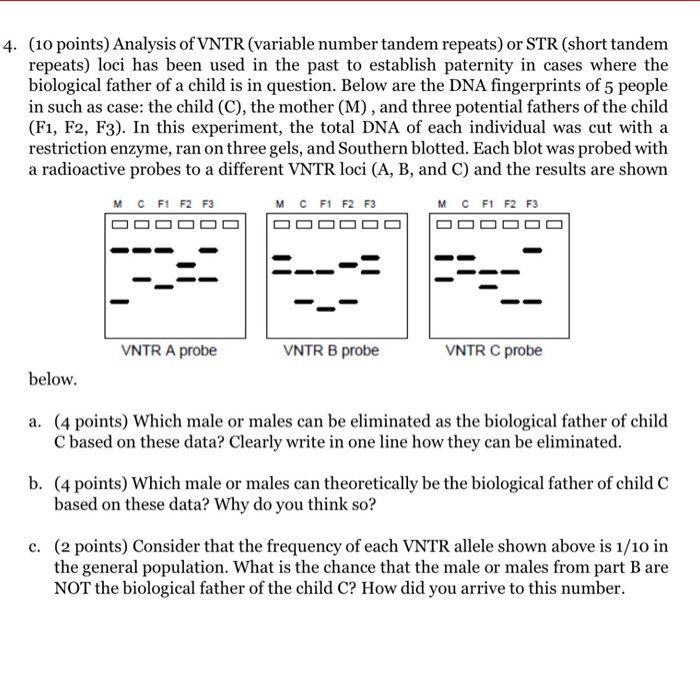 Solved Analysis of VNTR (variable number tandem repeats) or | Chegg.com