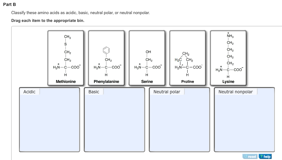Acidic Basic Neutral Structures Solved PART A Classify these amino acids as acidic, basic, | Chegg.com
