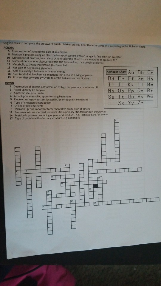 Solved Usę the clues to complete the crossword puzłe Make Chegg com