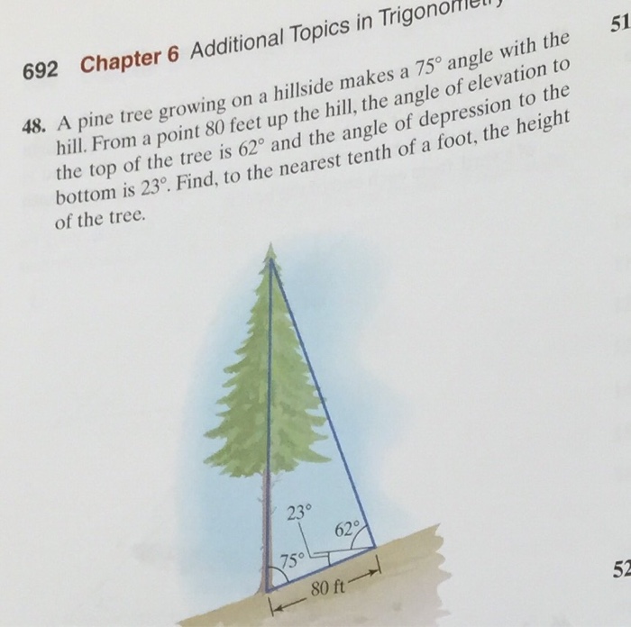 Solved A pine tree growing on a hillside makes a 75^degree
