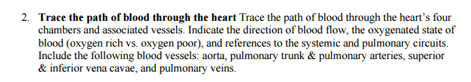 Solved Trace The Path Of Blood Through The Heart Trace The Chegg Solved Trace The Path Of Blood Through The Heart Trace The Chegg