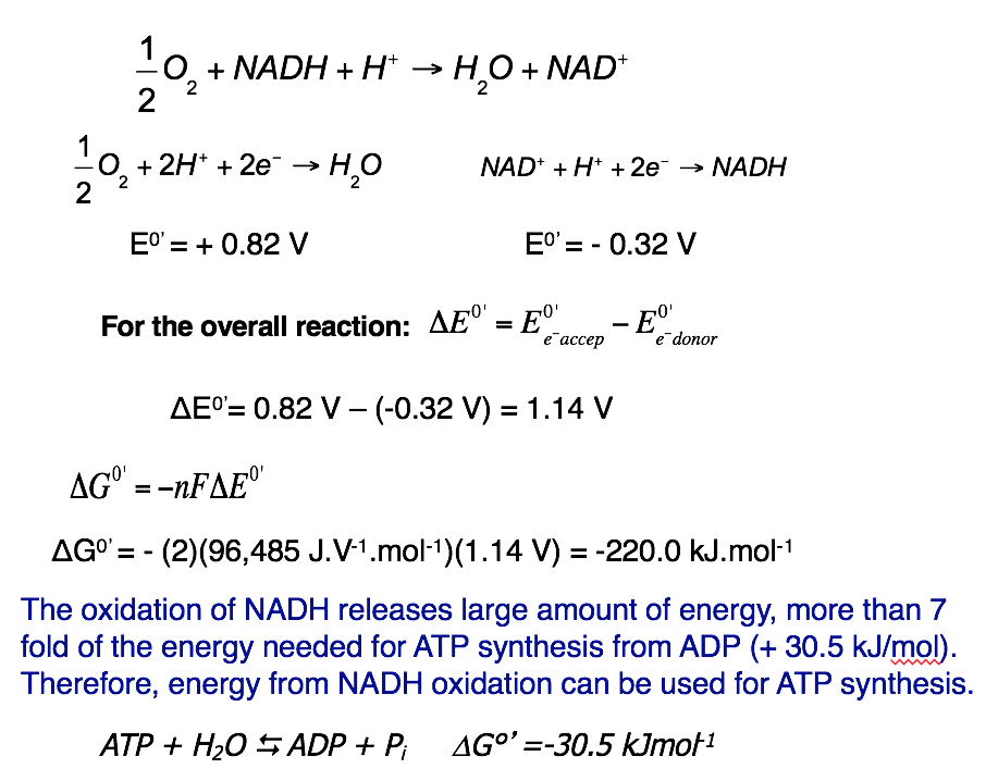 quantum-mechanics-relation-between-delta-e-and-delta-p