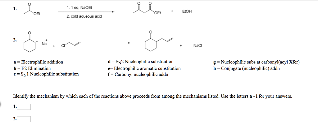 Solved O O 1. 1 eq. NaOEt EtOH OE OEt 2. cold aqueous acid | Chegg.com