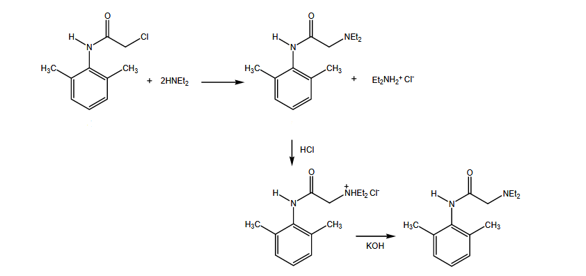 Lidocaine Mechanism Reaction