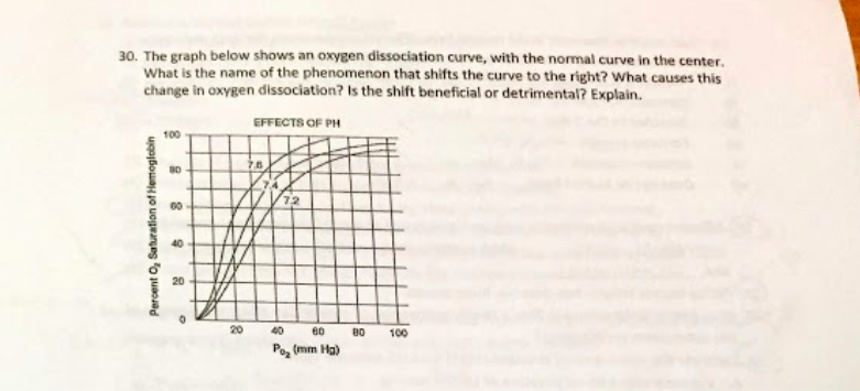 Solved 30. The graph below shows an oxygen dissociation | Chegg.com