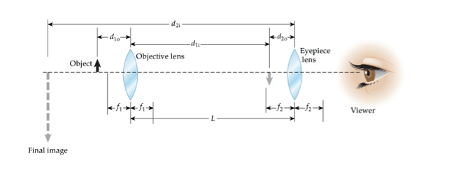 A custom-made compound microscope (see the figure | Chegg.com
