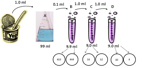 Solved 1.0 ml 0.1 m 1.0 m 1.0 ml c 1.0 ml Yo 99 ml 9.9 m 9,0 | Chegg.com